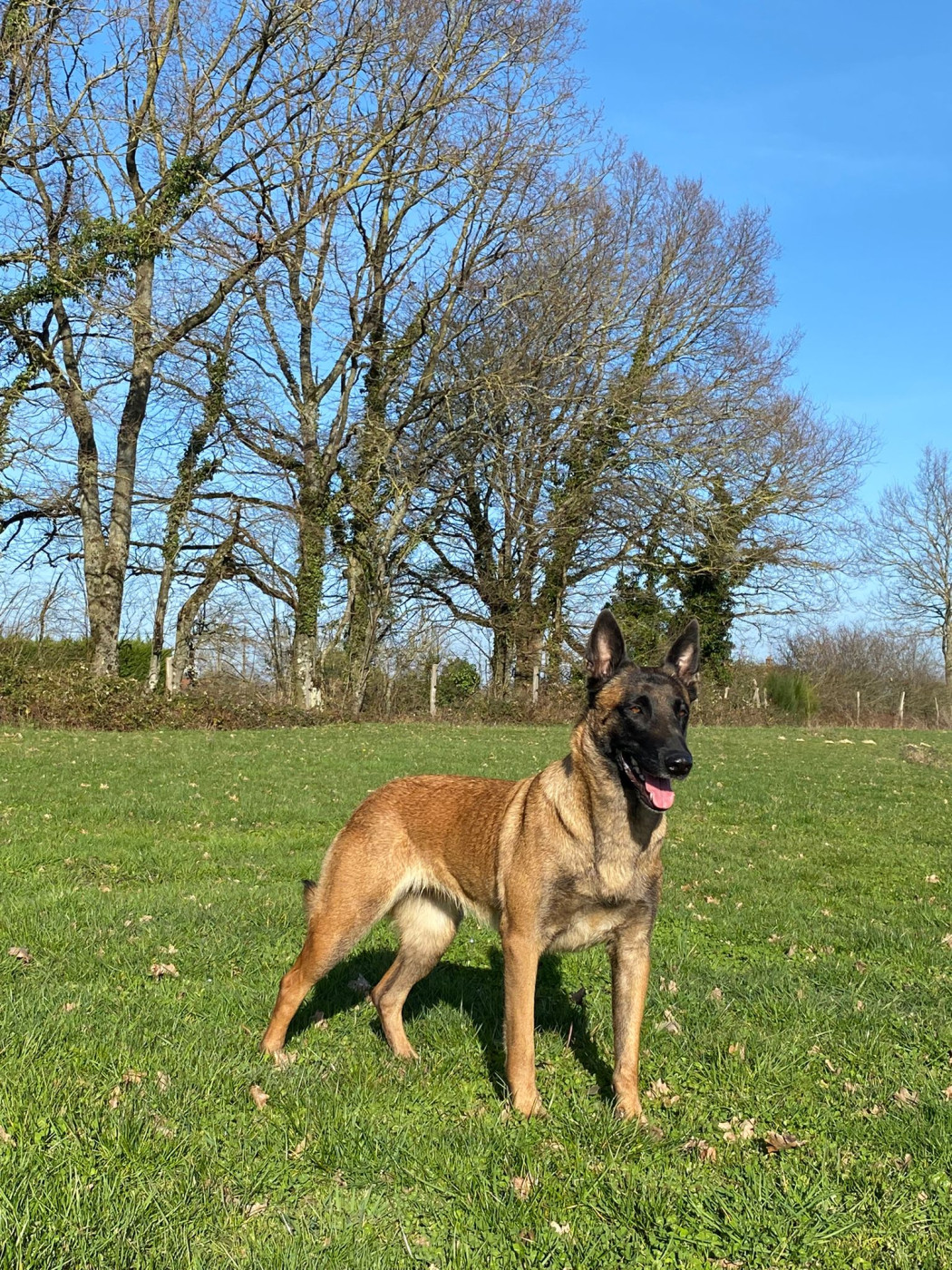 Rivale Du Château Sainte Marie