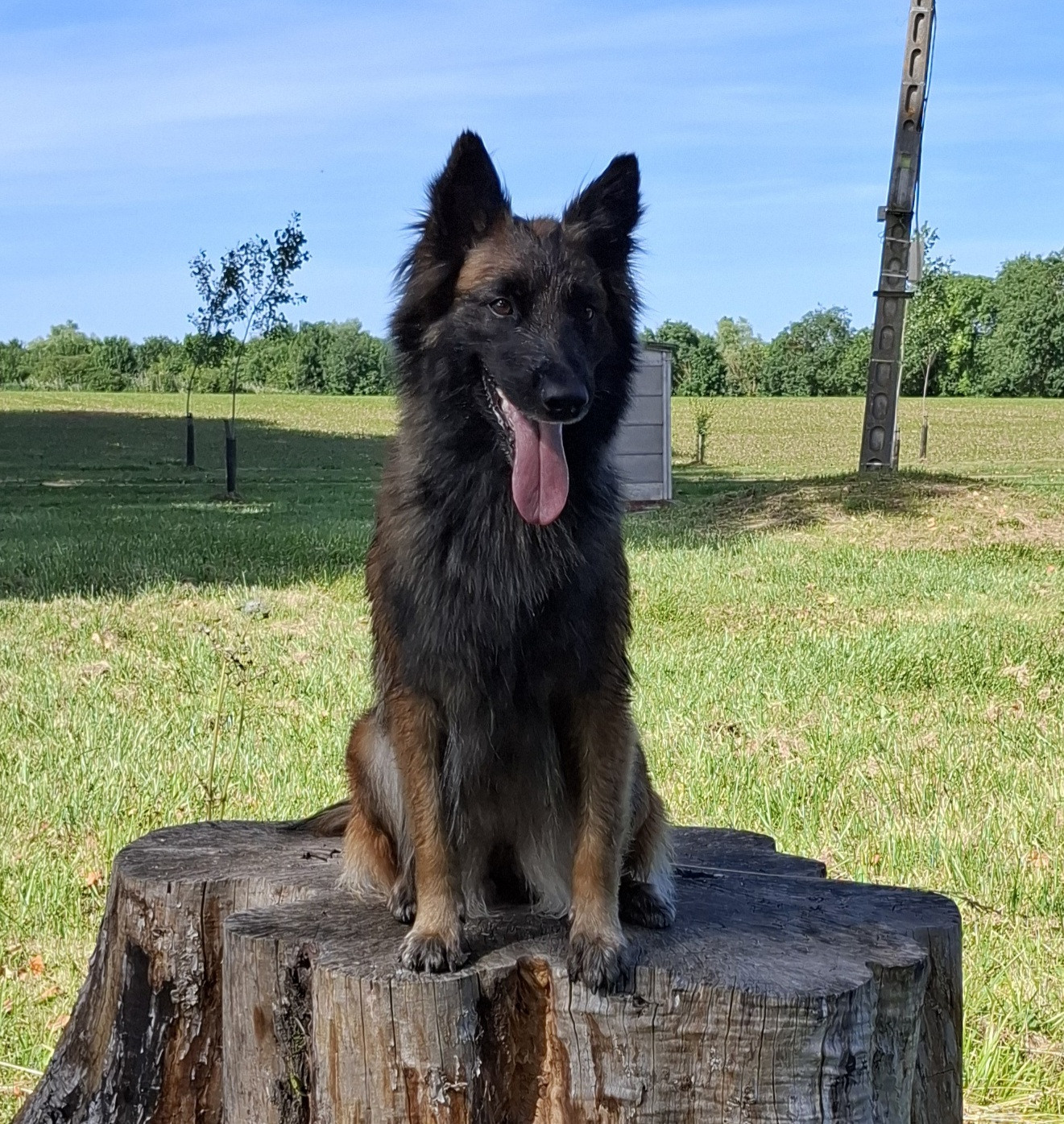 Sanka Du Clos Charmoissy